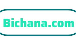 WhatsApp Image 2025-11-24 at 4.06.50 PM